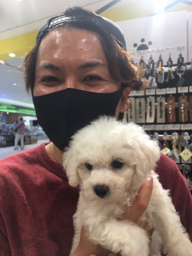WEBMARKS代表鈴木晋介氏とペットのプードル